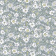 Arley Blossom - A L.C. Arley Blossom - A L.C.